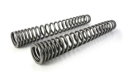 Touratech Progressif (-25 mm) - Noir Fork springs