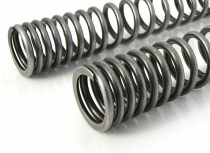 Touratech Progressif - Noir Fork springs
