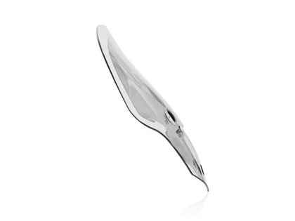 Bulle Wrs Pare - brise