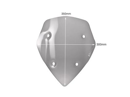 Bulle Wrs Pare - brise