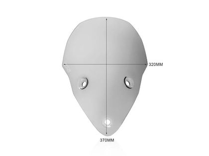 Bulle Wrs Pare - brise