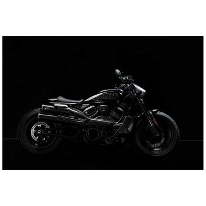 Tête de fourche Zard CARBONE