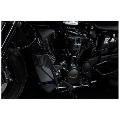 Zard CARBON SIDE KIT Radiator protection
