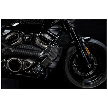 Zard CARBON SIDE KIT Radiator protection