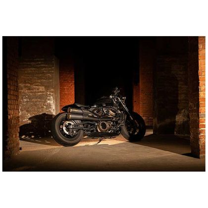 Silencieux Zard TOP GUN - embout carbone inox noir