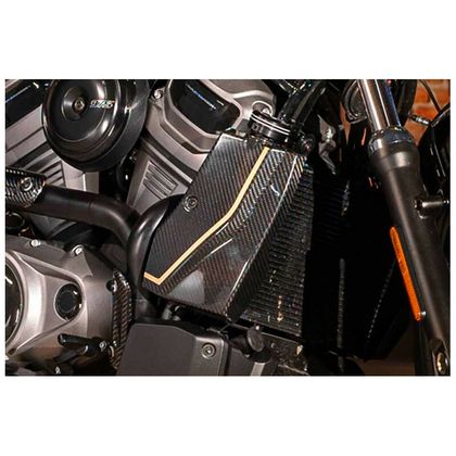 Zard CACHE 120TH LIMITED EDITION Radiator cap