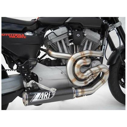 Ligne Complète Zard inox carbone - embout inox