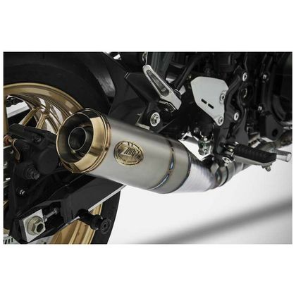 Ligne Complète Zard titane 4 en 1 - embout inox noir