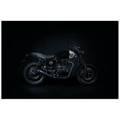 Silencieux Zard INOX - embout inox noir