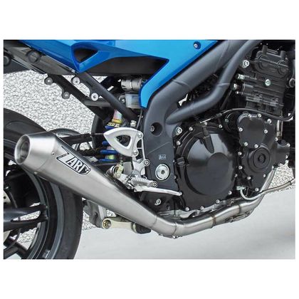 Silencieux Zard inox - embout carbone