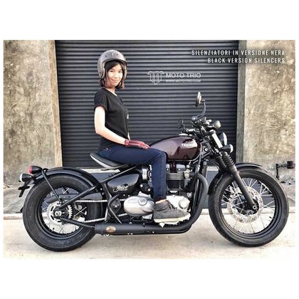 Silencieux Zard Double bas inox - embout inox noir