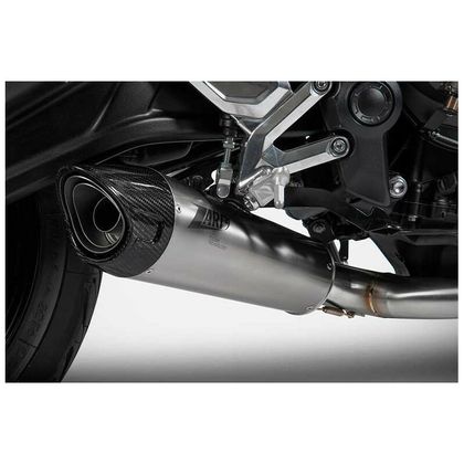 Ligne Complète Zard 3 en 1 inox embout carbone - embout carbone titane