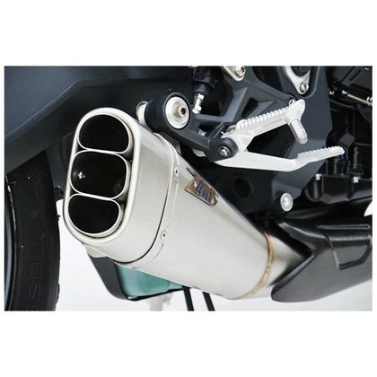 Zard low position stainless steel - carbon tip Silencer