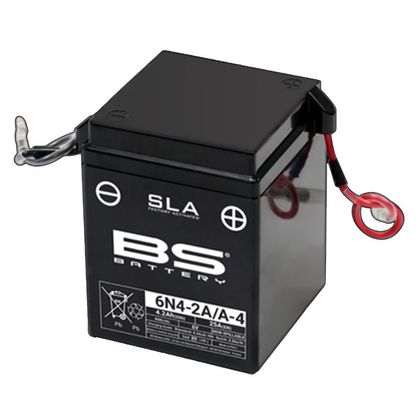 Batteria BS Battery SLA 6N4-2A/A4 ferme Type Acide Sans entretien/prête à l'emploi