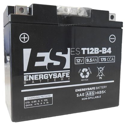Batería EnergySafe YT12B-4 sin mantenimiento
