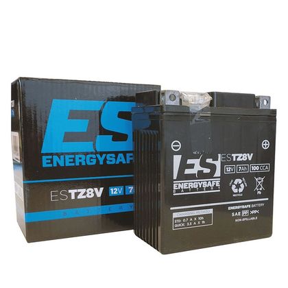 Batteria EnergySafe ESTZ8V chiusa tipo Acido senza manutenzione/pronto per l'uso