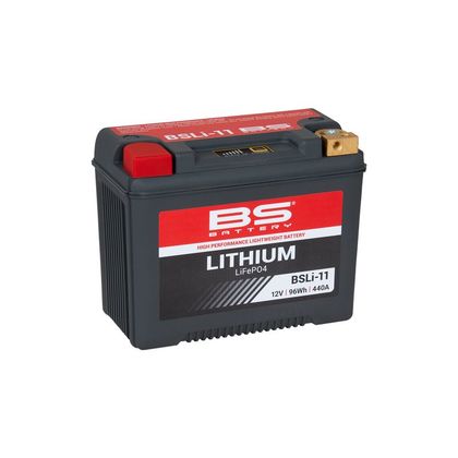 BS Battery Lithium Ion BSLi-11 Battery