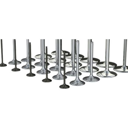Bud Racing racing titanium Inlaatventiel