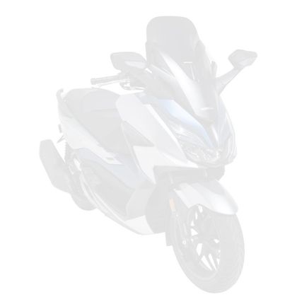 Ermax origin Windshield