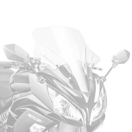 Puig Racing Windscherm