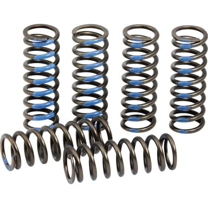 Ressorts d'embrayage Pro Circuit 