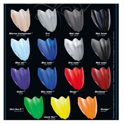 Pare brise Ermax Haute protection - Noir