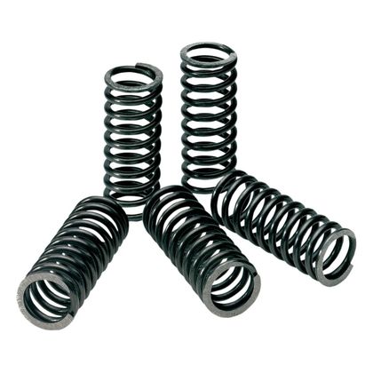 Pro Circuit Clutch springs
