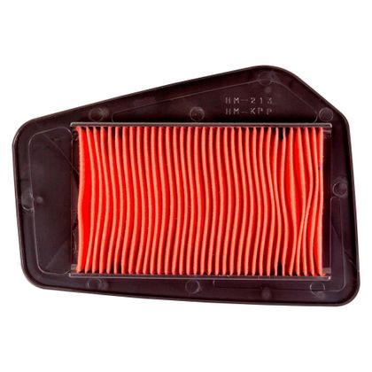 Bike It Luchtfilter Ref: BIK0257 / MTXARF252 