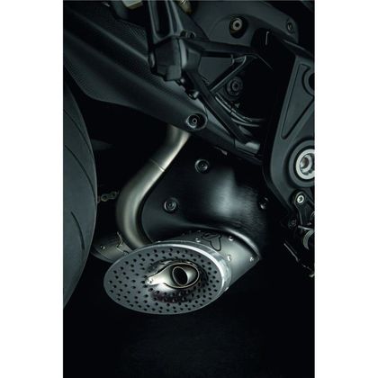 Silencieux Termignoni  - Gris