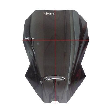 Bulle Ermax Touring (47 cm) - Noir