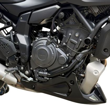 Ermax EVO Motor shoe - Black