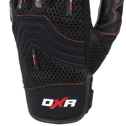 DXR BRAPP EVO Gloves