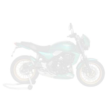 Ermax KAWASAKI Z650RS Radiator scoop - Black / Green