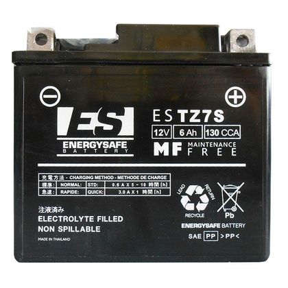 Batterie EnergySafe ESTZ7S ferme Type Acide Sans entretien/prête à l'emploi