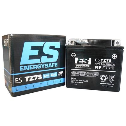Batterie EnergySafe ESTZ7S ferme Type Acide Sans entretien/prête à l'emploi Ref : E4977 