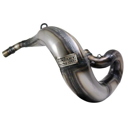 Pro Circuit WORKS Auspuff