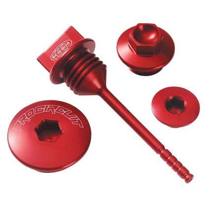 Pro Circuit Motor screws