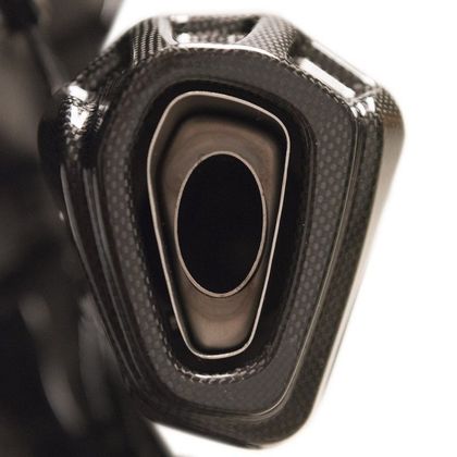 Ligne Complète Termignoni  - Carbone