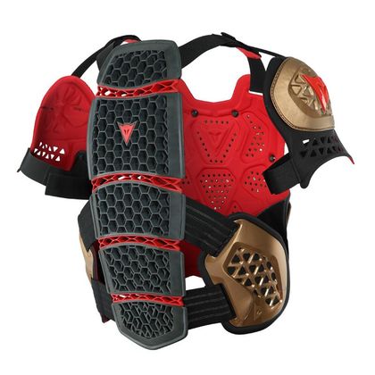 Pare pierre Dainese MX MX1 ROOST GUARD 2021