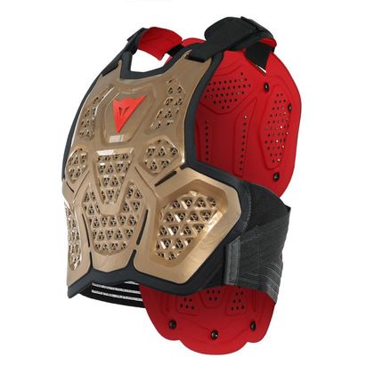 Peto Dainese MX MX3 ROOST GUARD 2021