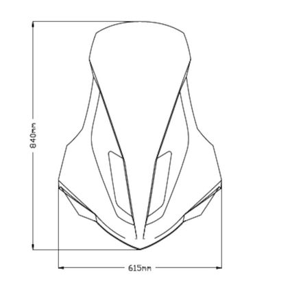 Puig V-TECH LINE TOURING Bulle