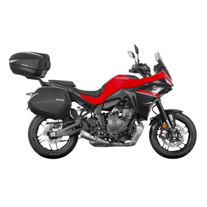 Support valises Shad 3P SYSTEM