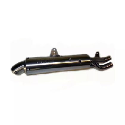 Silencieux Arrow PARIS DAKAR INOX - Gris