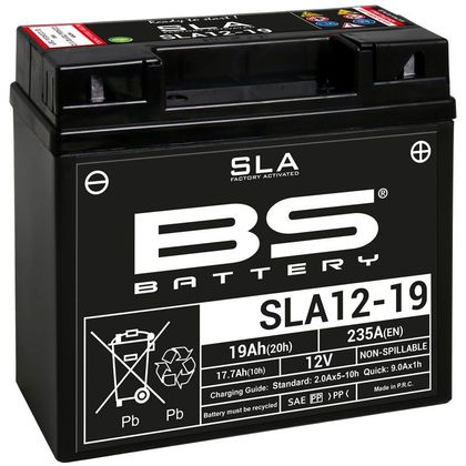Batterie BS Battery SLA 12-19 ferme Type Acide Sans entretien/prête à l'emploi