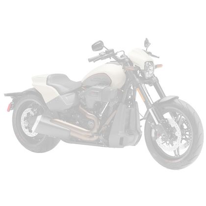 HARLEY DAVIDSON FXDR 114 2019