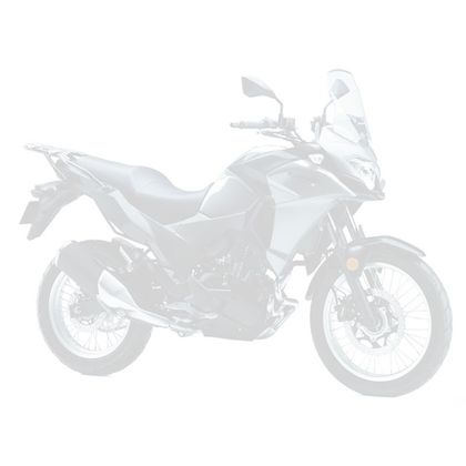 KAWASAKI VERSYS-X 300 ABS (KLE300C) 2020