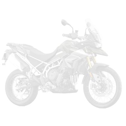 TRIUMPH TIGER 900 RALLY 2021