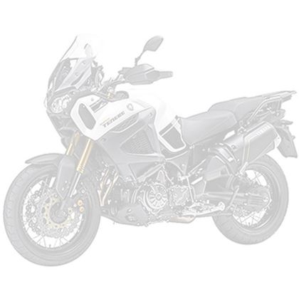 YAMAHA XT 1200 ZE SUPER TENERE ABS (DP07) 2020